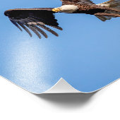 Impression Photo Aigle 10x8 avec un poisson (Coin)