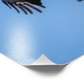 Impression Photo Aigle à tête blanche 14x11 avec un poisson (Coin)