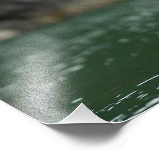 Impression Photo Aigle Bald Le Gros Catch (Coin)