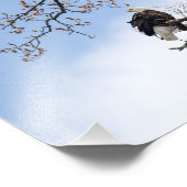 Impression Photo Aigle Balle Dans L'Arbre Tulipe (Coin)