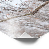 Impression Photo Aigle Balle En Neige (Coin)