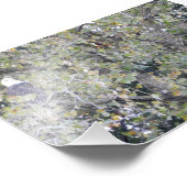 Impression Photo Aigle double (Coin)