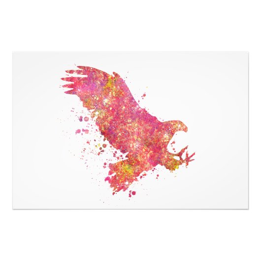 Impression Photo Aigle Oiseaux Forêt Sauvage Nature Monde Terre Vol (Devant)