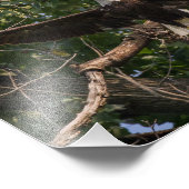 Impression Photo Aigle prenant l'avion (Coin)