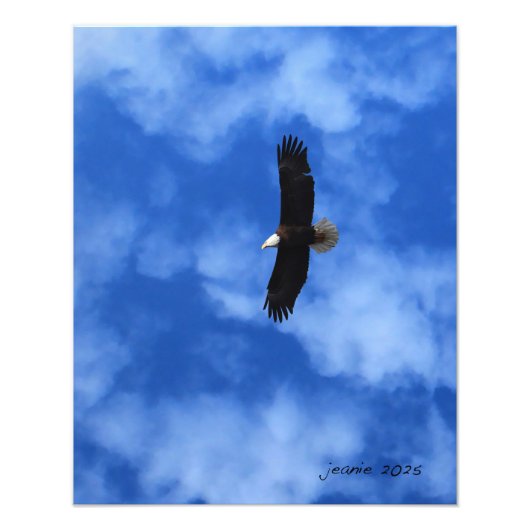 Impression Photo Aigle sur l'aile (Devant)