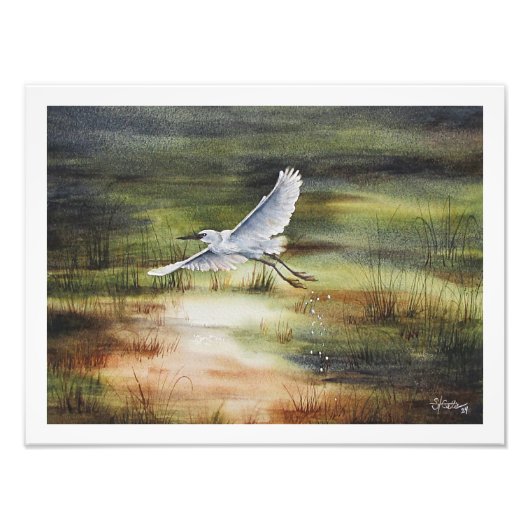 Impression Photo Aigrette blanche aquarelle  (Devant)