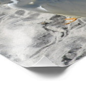 Impression Photo Aigrettes sur la plage (Coin)