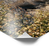 Impression Photo Aiguille (Coin)