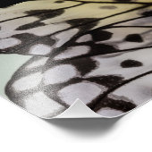 Impression Photo Aile papillon de la nymphe de macro (Coin)