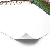 Impression Photo Ailes de colibri (Coin)