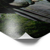 Impression Photo "Ailes de pureté" (Coin)