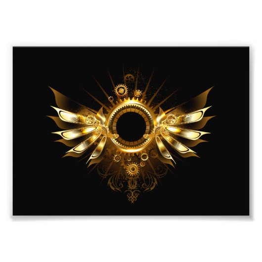 Impression Photo Ailes de Steampunk (Devant)