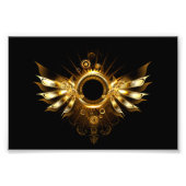 Impression Photo Ailes de Steampunk (Devant)