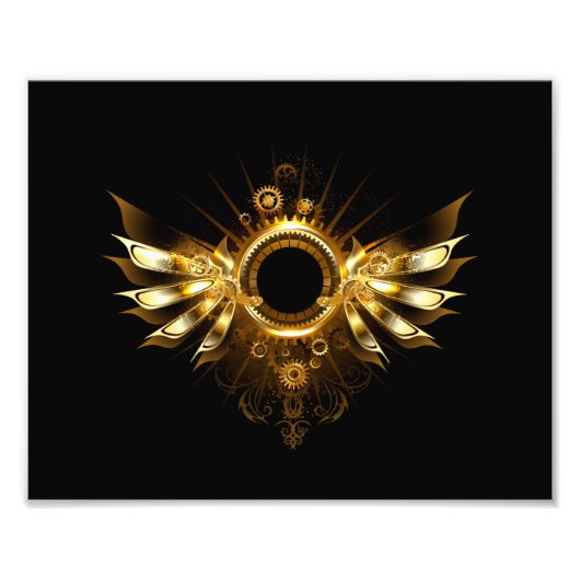 Impression Photo Ailes steampunk (Devant)