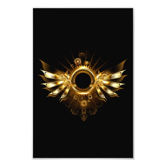 Impression Photo Ailes steampunk (Devant)
