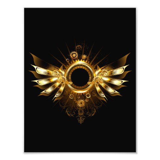 Impression Photo Ailes steampunk (Devant)