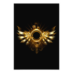Impression Photo Ailes steampunk