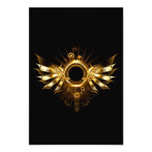 Impression Photo Ailes steampunk (Devant)