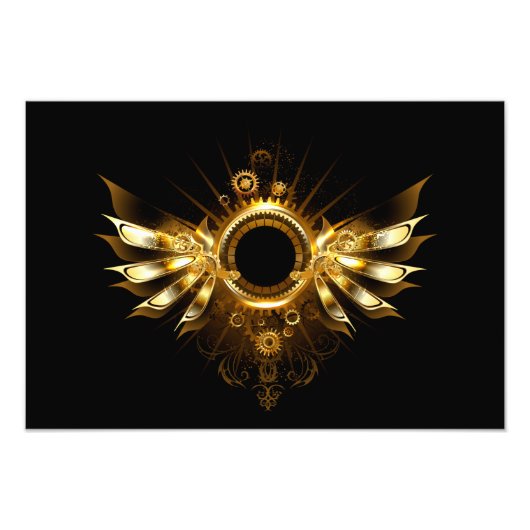 Impression Photo Ailes steampunk (Devant)