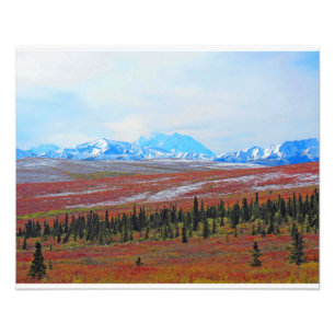 Impression Photo Alaskan Adventure-Denali- Paysage #3