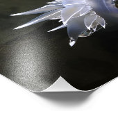 Impression Photo Albâtre Nudibranche (Coin)