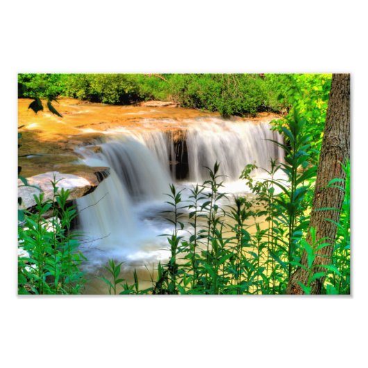 Impression Photo Albert Falls, Virginie-Occidentale (Devant)