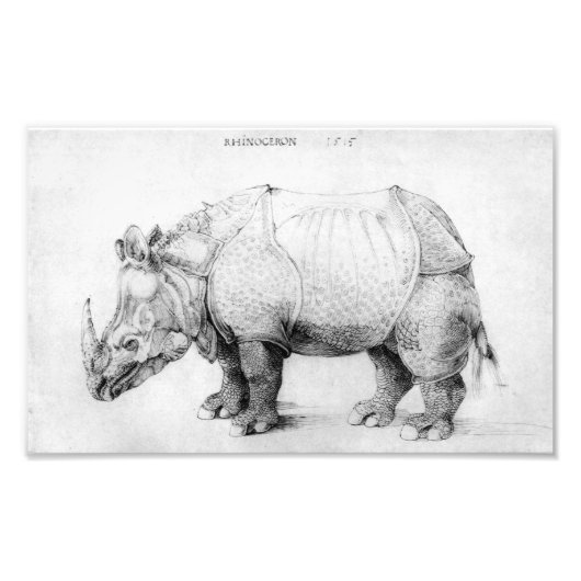 Impression Photo Albrecht Durer Rhinoceros (Devant)