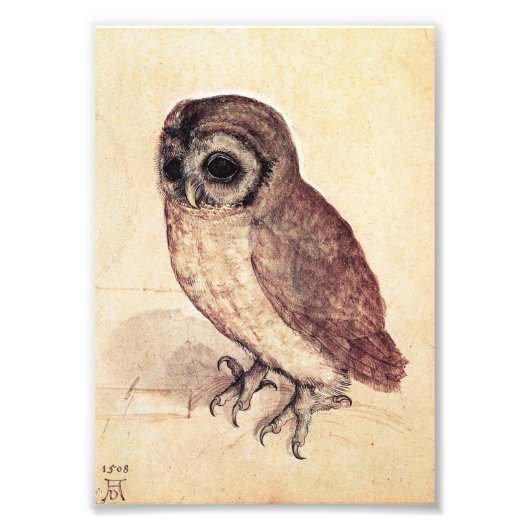 Impression Photo Albrecht Durer The Little Owl Print (Devant)