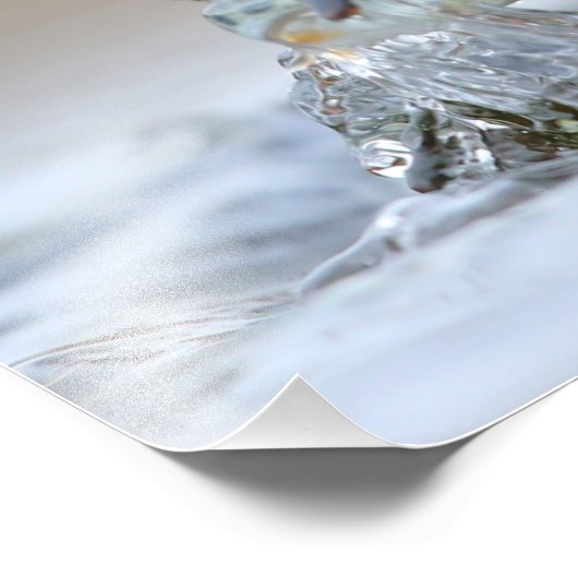 Impression Photo Alcedo Atthis Kingfisher eau de chasse Luca Casale (Coin)