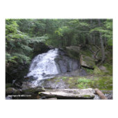 Impression Photo Alder Falls (Devant)