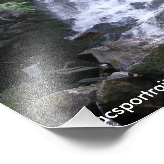 Impression Photo Alder Falls (Coin)