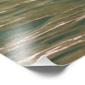 Impression Photo Alert Goldeneye (Coin)