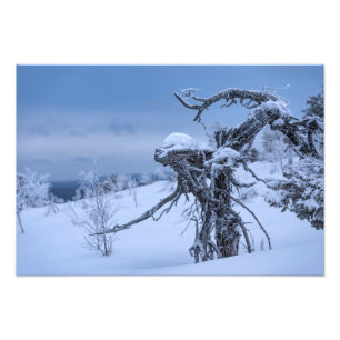 Impression Photo Alien en bois dans le cadre hivernal