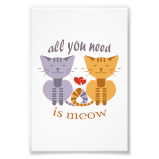 Impression Photo All you need is meow Valentine cats