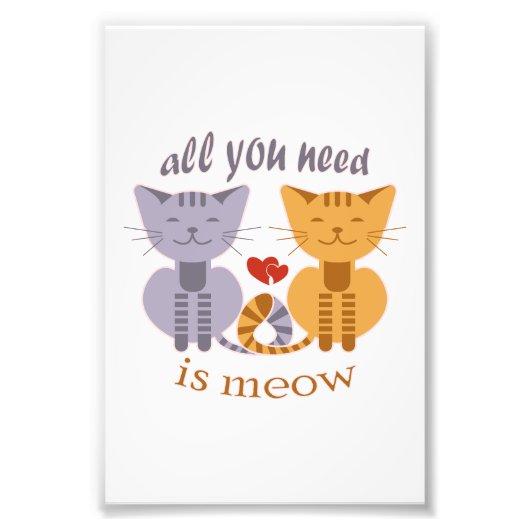 Impression Photo All you need is meow Valentine cats (Devant)