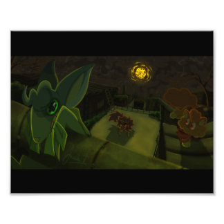 Impression Photo Aller à la zone