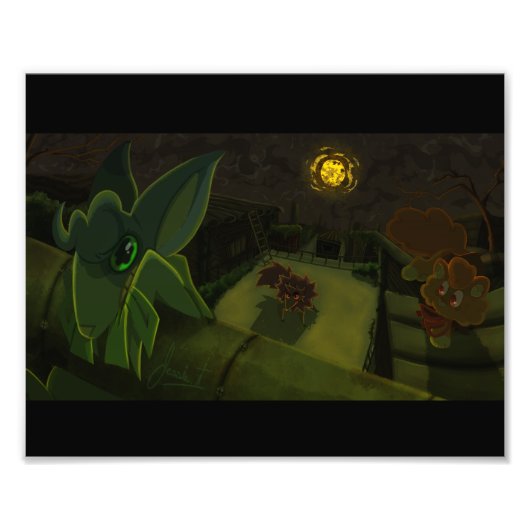 Impression Photo Aller à la zone (Devant)