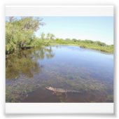 Impression Photo Alley Alligator (Devant)