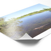 Impression Photo Alley Alligator (Coin)