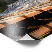 Impression Photo Alligator 10x8 à Homosassa Springs Wildlife State (Coin)