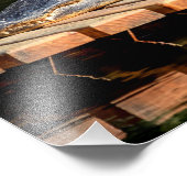 Impression Photo Alligator 14x11 à Homosassa Springs Wildlife Park (Coin)