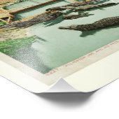 Impression Photo Alligator bébé d'eau Joe (Coin)