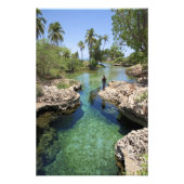 Impression Photo Alligator Hole, Black River Town, Jamaïque (Devant)