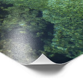 Impression Photo Alligator Hole, Black River Town, Jamaïque (Coin)