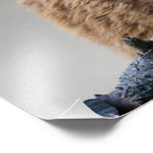 Impression Photo Alpaca (Coin)