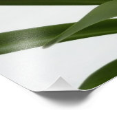 Impression Photo Amaryllis en Fête Rouge Neige Hiver Floral (Coin)