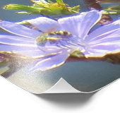 Impression Photo Américain Goldfinch (Coin)