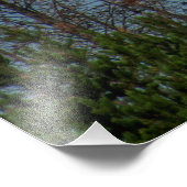 Impression Photo American Bald Eagle 8974 (Coin)