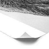 Impression Photo American Buffalo (Coin)