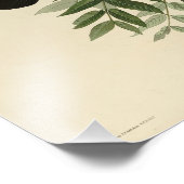 Impression Photo American Crow de John Audubon's Birds of America (Coin)